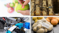 This week's best innovations could drive significant change across the food, shipping and automotive sectors